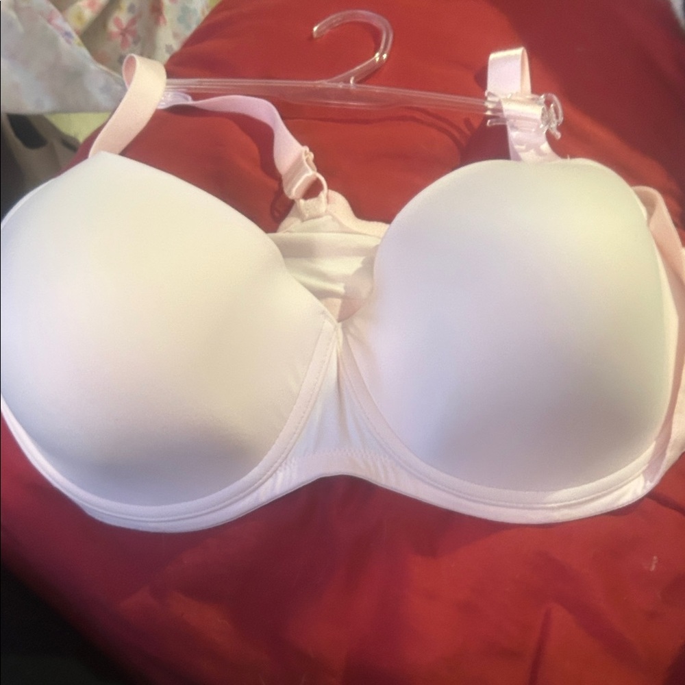 NWT Sz 46c pink bra by Dominique